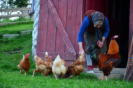 Помог бабке — получил невесту