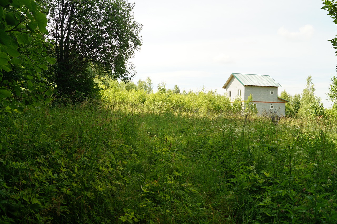 - А может быть, вы на дачу не поедете? А то мы хотели сами к вам на дачу со своими друзьями поехать!