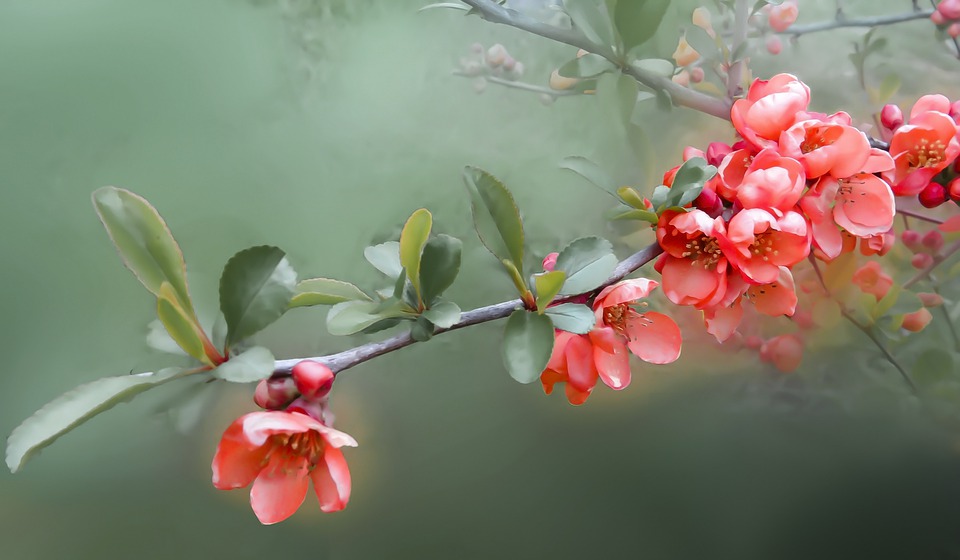 В свои 45 я одинокая женщина. И на сегодняшний день сделала для себя вывод по поводу отношений.