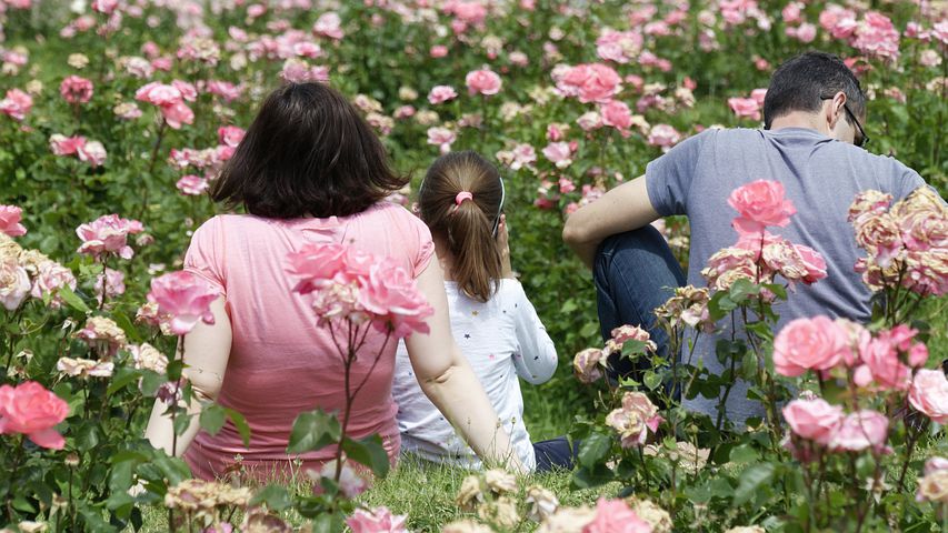 Супруг обижается - сын не признает его отца с матерью
