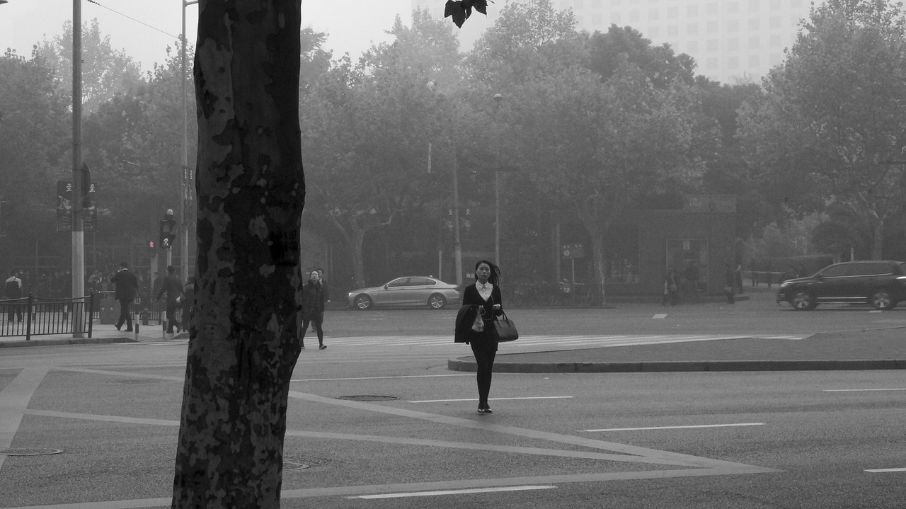 — А давай им поможем? Мы же люди добрые! Пусть поживут у нас какое-то время