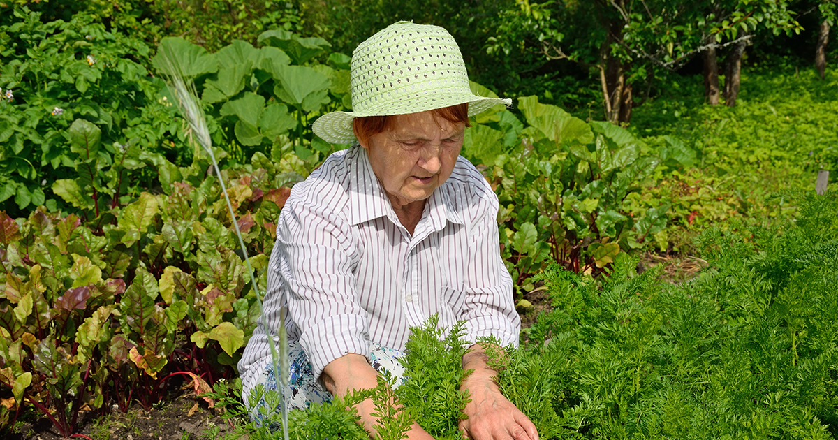 От частного дома одни проблемы!