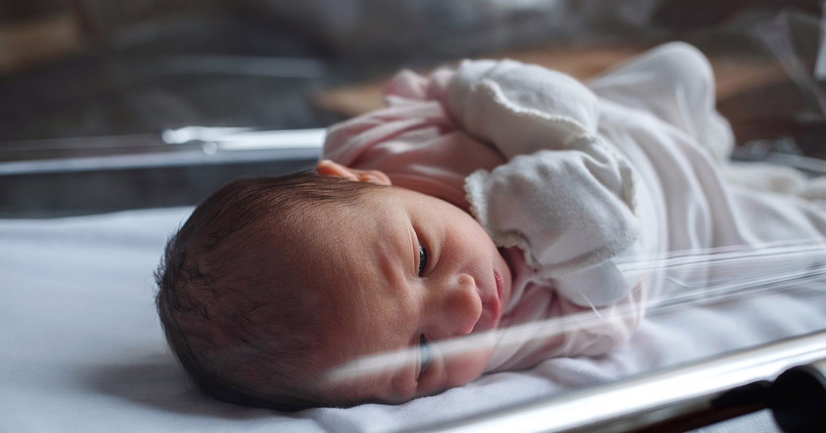 Однажды ночью мама проснулась от громких криков…