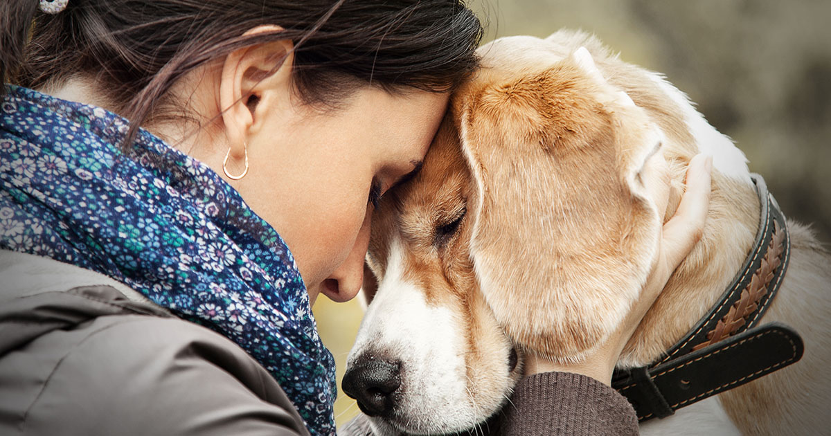 И с того дня покой им только снится!