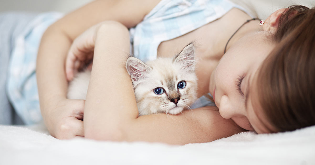 — Кота кому-то отдайте, а то мы к вам в гости собрались!