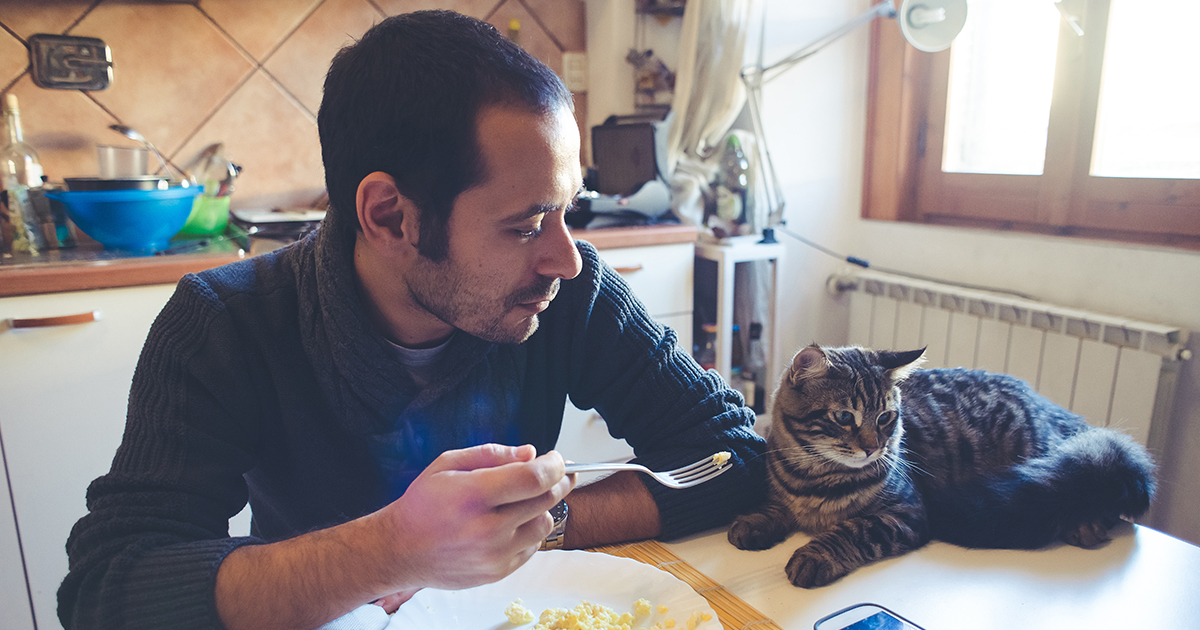 Надоело кормить мужа-дармоеда. Так он решил лазить по холодильнику ночью или нагло отнимает еду у меня