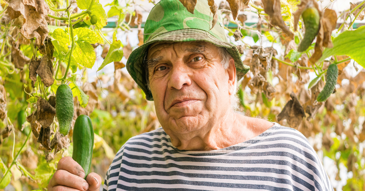 Всю жизнь растил чужих детей. Ну и поворот!