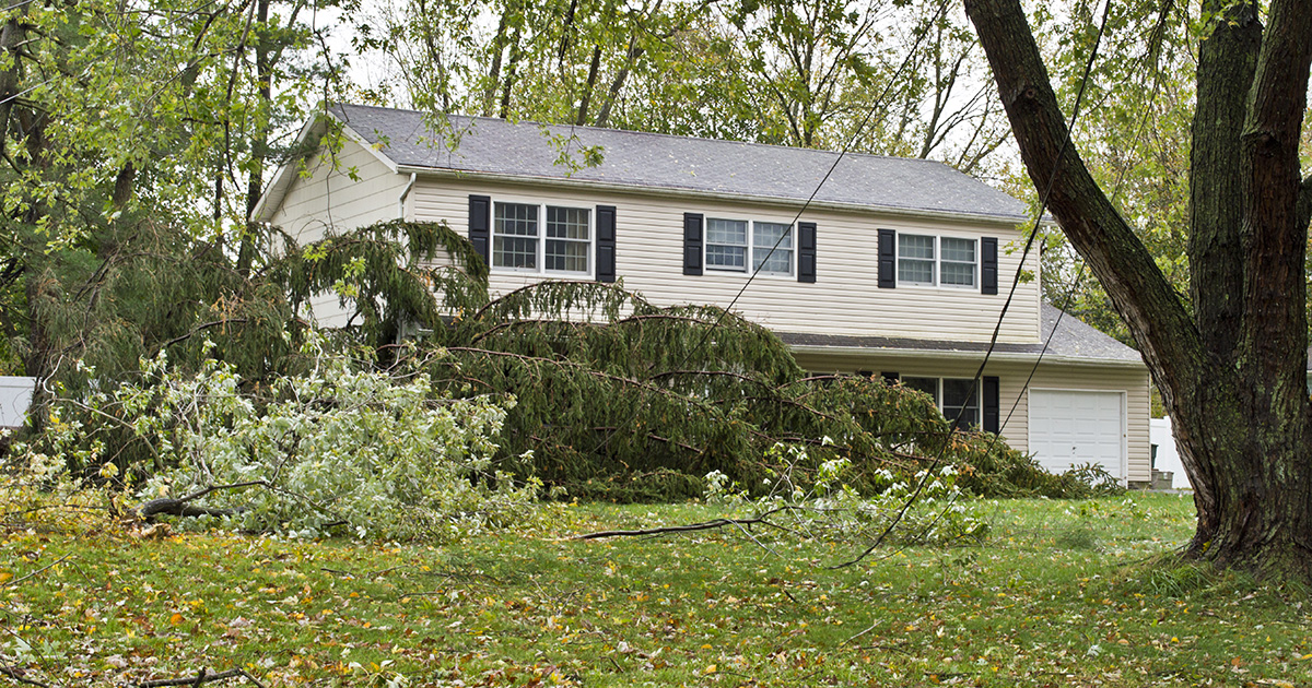 — И этим я должен быть доволен? — возмутился пасынок, получив от отчима дом в подарок
