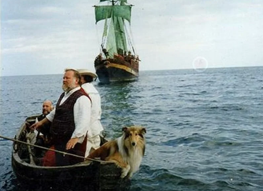 Co stało się z aktorami, którzy zagrali główne role w „Akademii Policyjnej”?