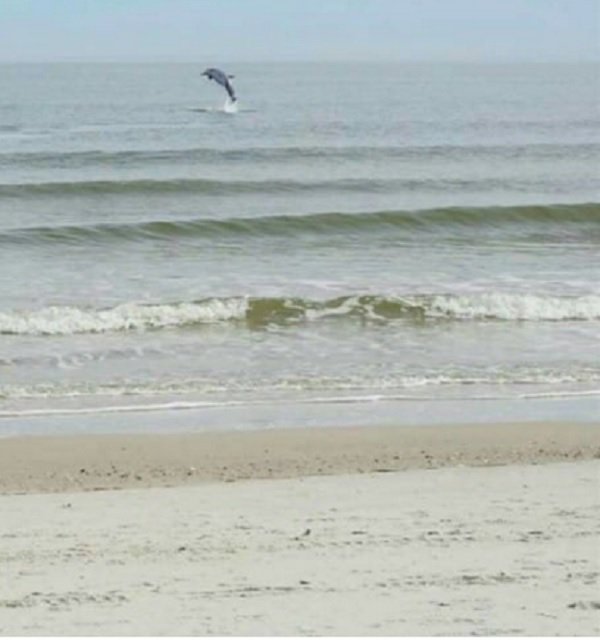 Mężczyzna zrobił zdjęcie swojej ciężarnej żonie. Ale przyjrzyj się bliżej zdjęciu.....