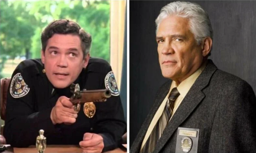 Co stało się z aktorami, którzy zagrali główne role w „Akademii Policyjnej”?