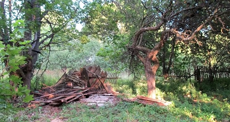 Ludzie śmiali się, kiedy kupiłem dom zbudowany w 1918 roku. Teraz wszyscy są zszokowani i zazdroszczą mi rezultatu!