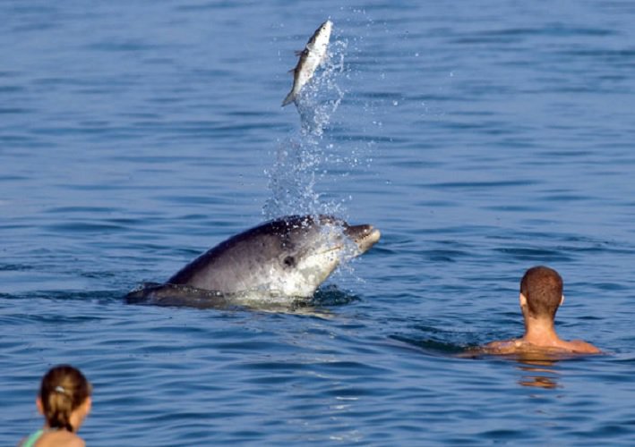 Mężczyzna zrobił zdjęcie swojej ciężarnej żonie. Ale przyjrzyj się bliżej zdjęciu.....