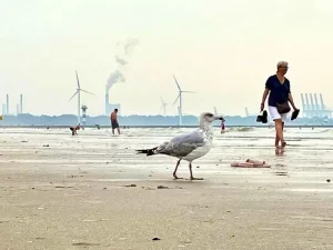 11 zdjęć, na które trzeba spojrzeć trzy razy, aby mózg zrozumiał, co się na nich dzieje