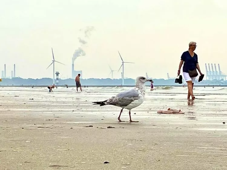 11 zdjęć, na które trzeba spojrzeć trzy razy, aby mózg zrozumiał, co się na nich dzieje