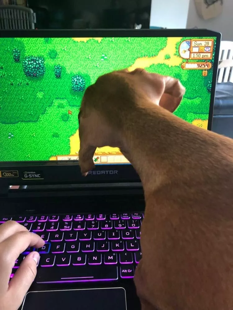 11 zdjęć, na które trzeba spojrzeć trzy razy, aby mózg zrozumiał, co się na nich dzieje