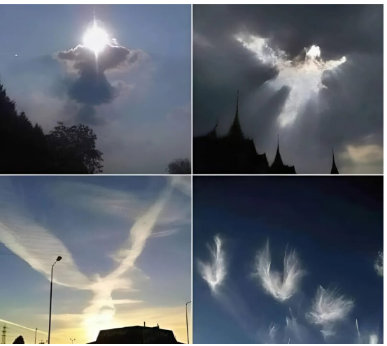 Widzisz te niesamowite zdjęcia? Zrobił je mój brat!