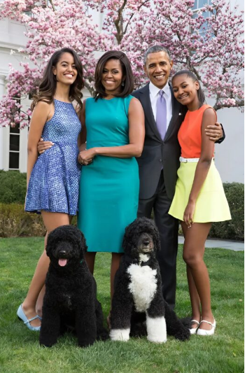 Dcery Obamovy se rozhodly navštívit Drakeův večírek, aniž by tušily, že se o tom někdo dozví: sestry musely vysvětlovat svůj vulgární vzhled.