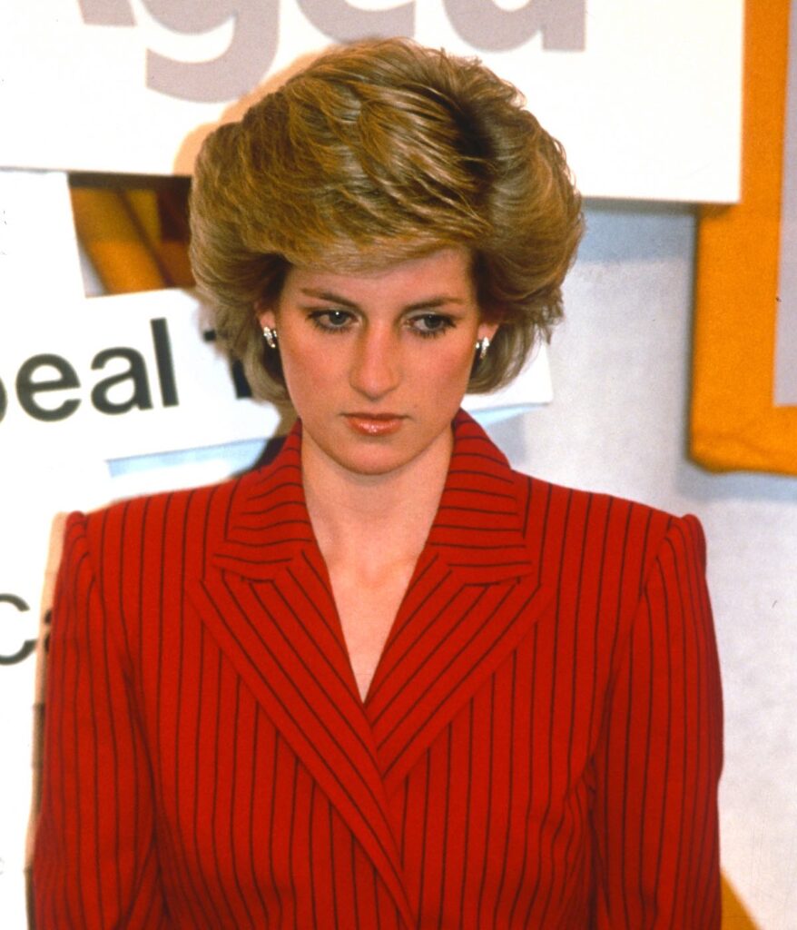 MIGAWKI PANI DI, KTÓRE DOWODZĄ, ŻE BYŁA NIESZCZĘŚLIWA W SWOIM MAŁŻEŃSTWIE. Silent Scream. 15 lat małżeństwa w smutnym materiale filmowym.