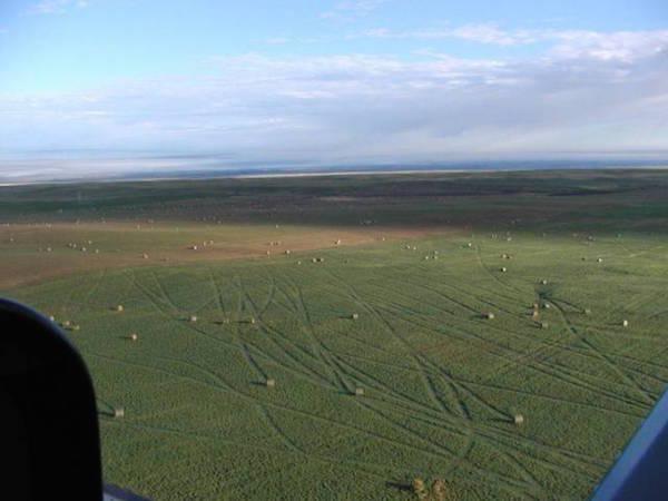 16 zdjęć, które udowadniają, że wiatr ma poczucie humoru