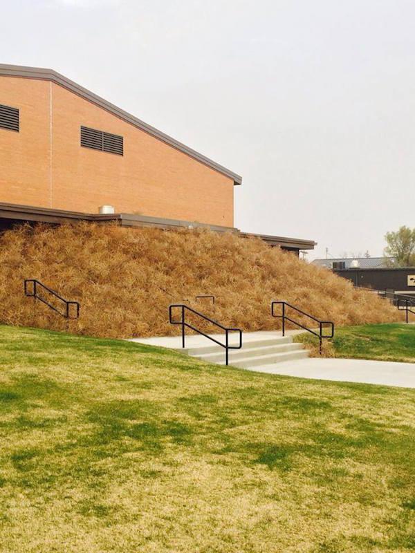 16 zdjęć, które udowadniają, że wiatr ma poczucie humoru