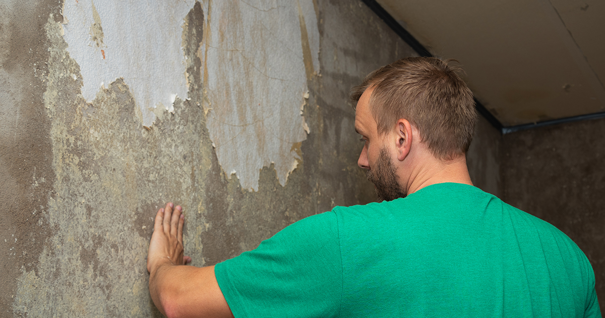 Mój były mąż zerwał tapetę po naszym rozwodzie, ponieważ „zapłacił za nią” - karma z nim zadzierała