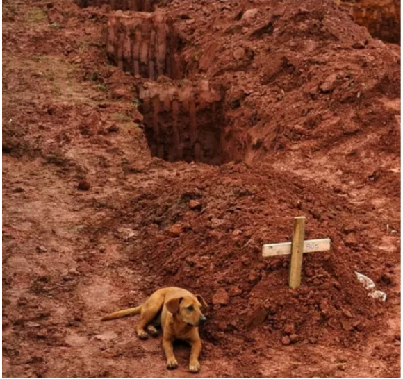 15 najpotężniejszych zdjęć w historii