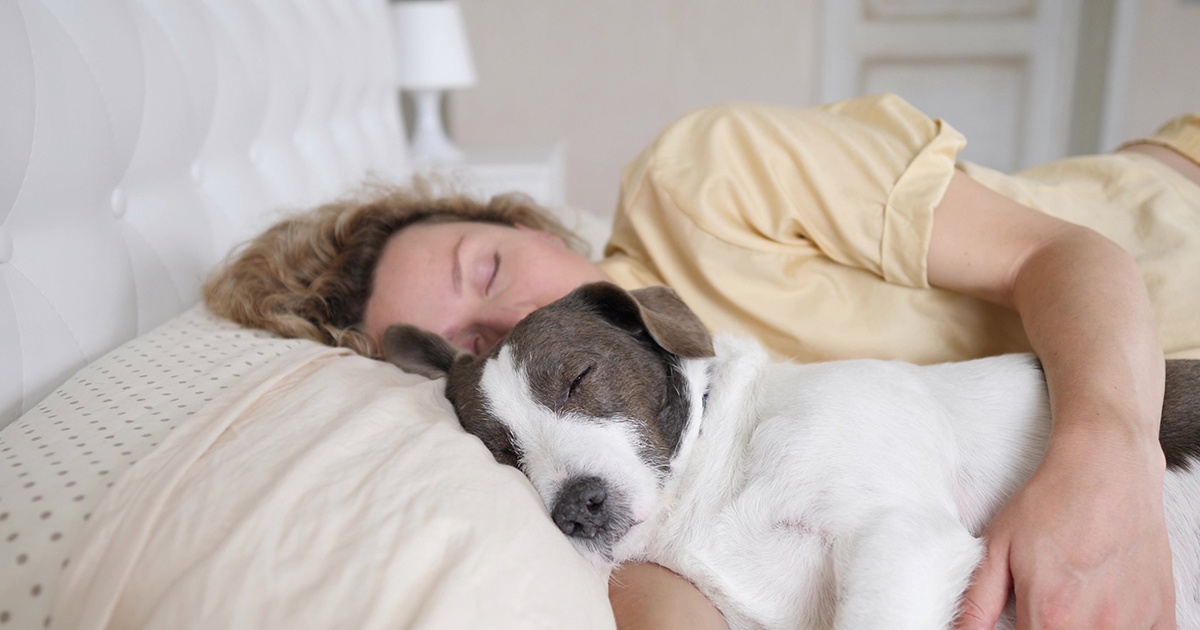 Mój ojciec pozbył się naszego psa po śmierci mamy — Karma powiedziała swoje słowo