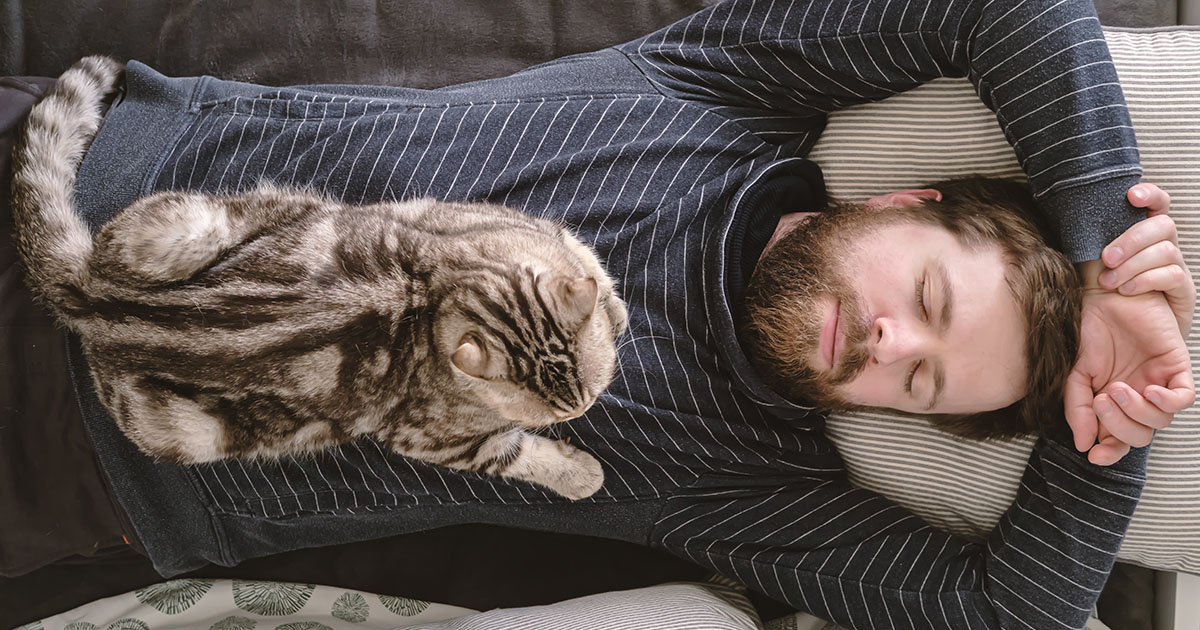 MOJA ŻONA ODDAŁA MOJE KOTY BEZ MOJEJ WIEDZY - I TO ZRUJNOWAŁO NASZE MAŁŻEŃSTWO.