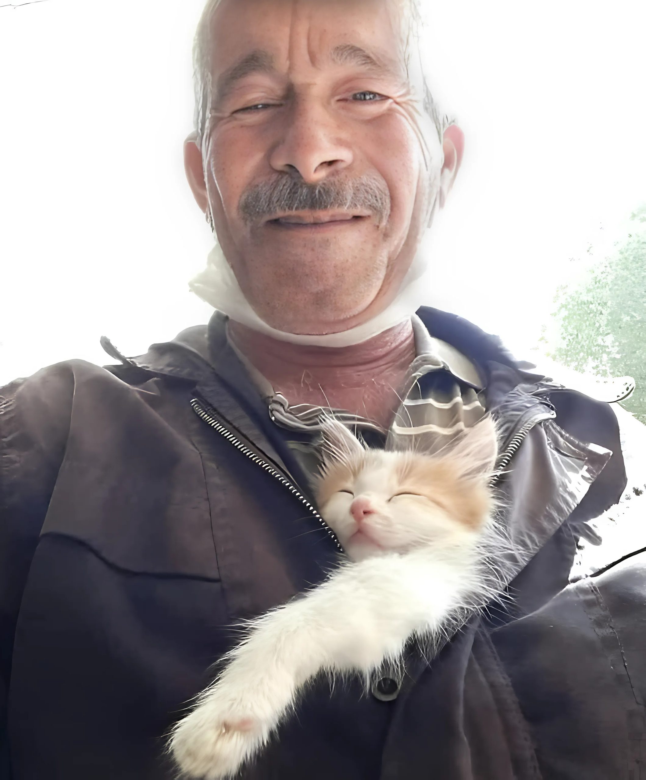 Kot z domu opieki kochał tylko jedną osobę - a po jego śmierci w końcu zrozumieliśmy dlaczego