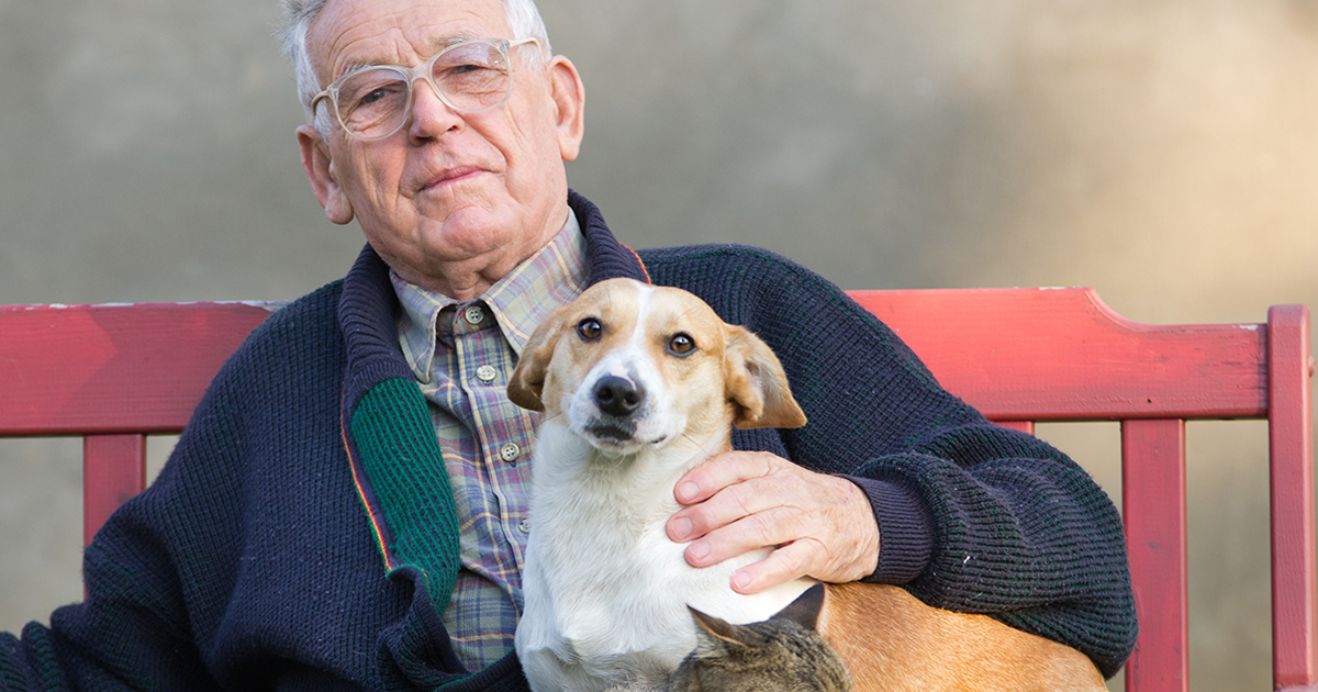 „Tylko ją ogrzewam”. Bezdomny mężczyzna, który uratował kociaka - i jak to na zawsze zmieniło życie trzech osób