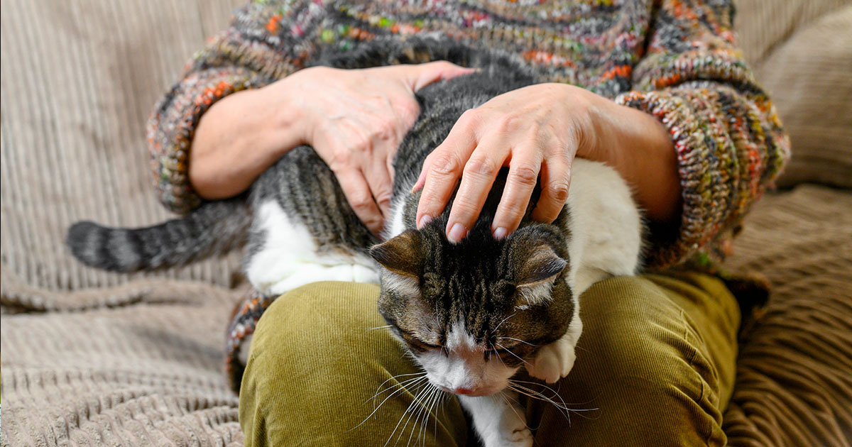 „Tylko ją ogrzewam”. Bezdomny mężczyzna, który uratował kociaka - i jak to na zawsze zmieniło życie trzech osób