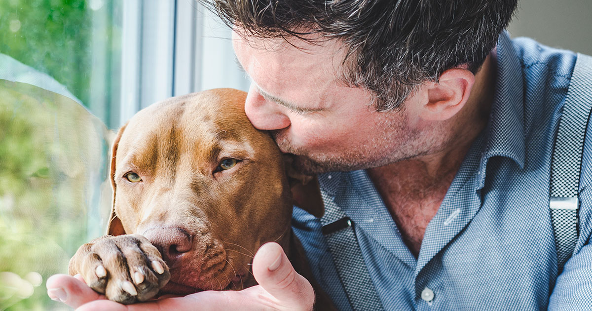 NIE PRZESTAWAŁ WSPINAĆ SIĘ NA MOJE KOLANA - NAWET GDY LEDWO STAŁ NA NOGACH.