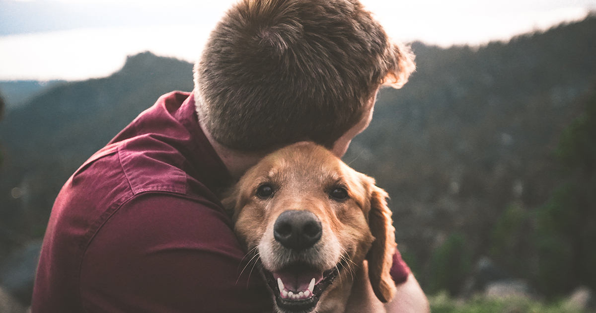 NIE PRZESTAWAŁ WSPINAĆ SIĘ NA MOJE KOLANA - NAWET GDY LEDWO STAŁ NA NOGACH.