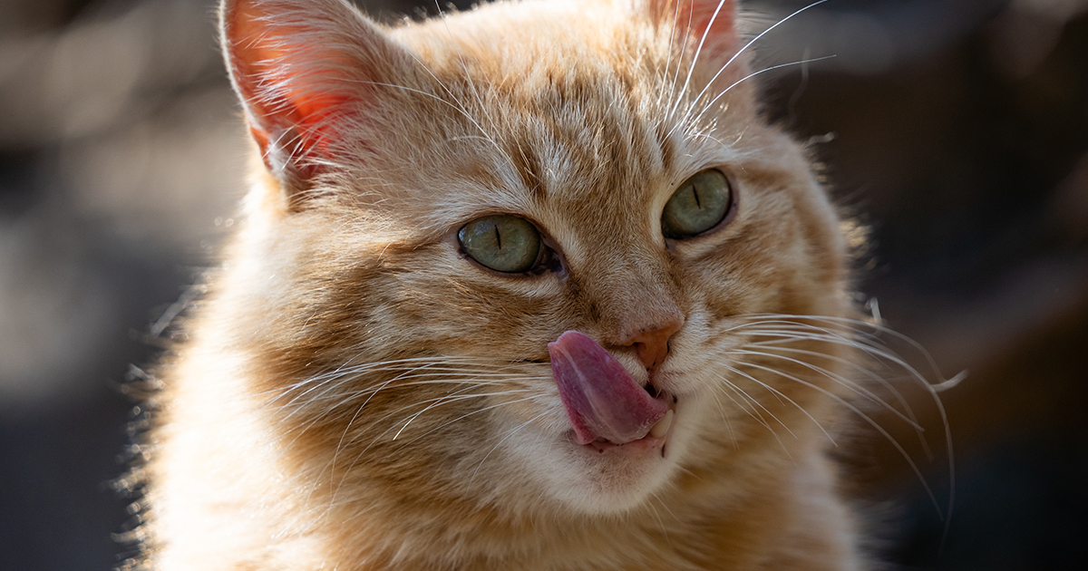 WYCIĄGNĄŁ JĄ Z PŁONĄCEGO BUDYNKU, A POTEM JUŻ NIGDY NIE OPUŚCIŁA JEGO RAMIENIA.