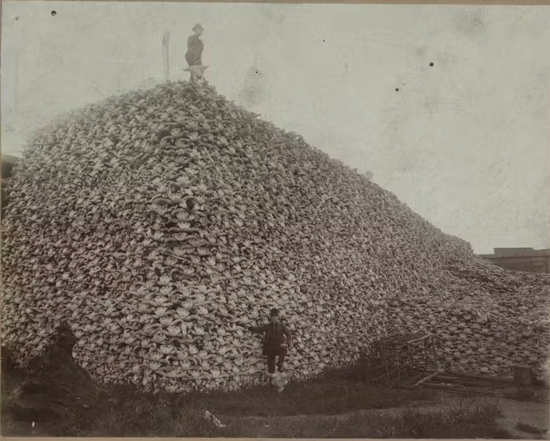 Upiorne historyczne fotografie i ich ukryte historie
