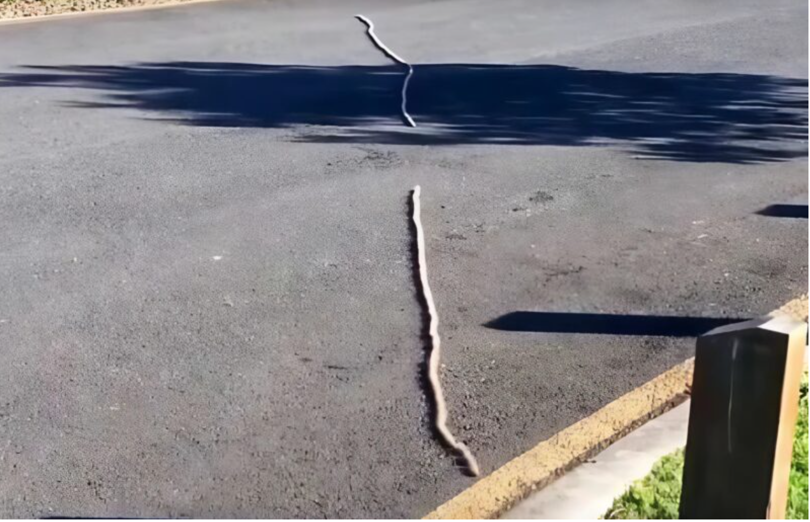 Wydawało jej się to dziwne, ponieważ nigdy wcześniej nie znalazła takich przedmiotów wśród trawy. Jeśli przyjrzeć się bliżej, w jej oczach można było dostrzec przerażenie