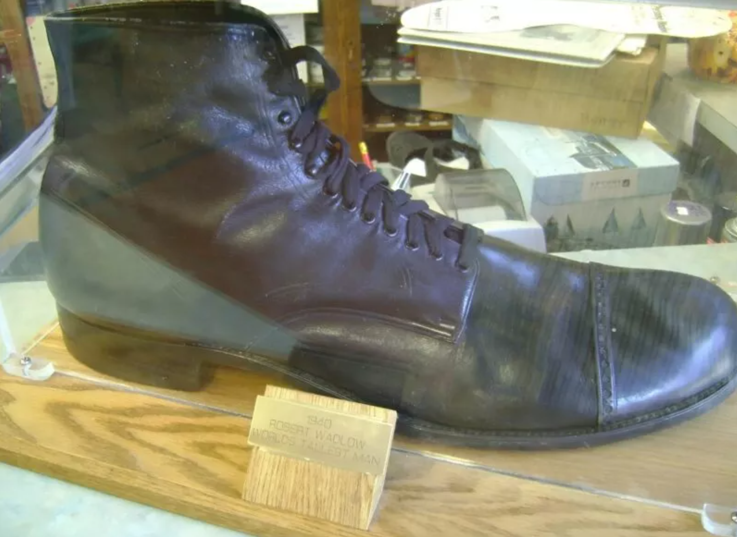 Najwyższy człowiek na świecie: kim był i jak żył