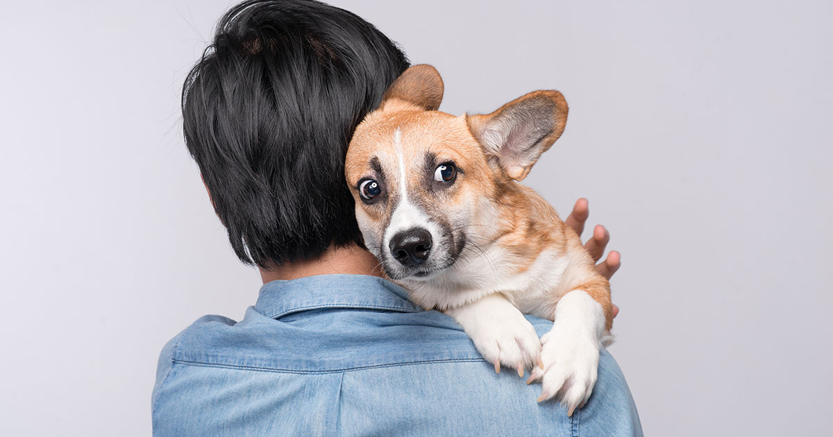 „Kiedy los wybiera za ciebie – historia uratowanego psa”