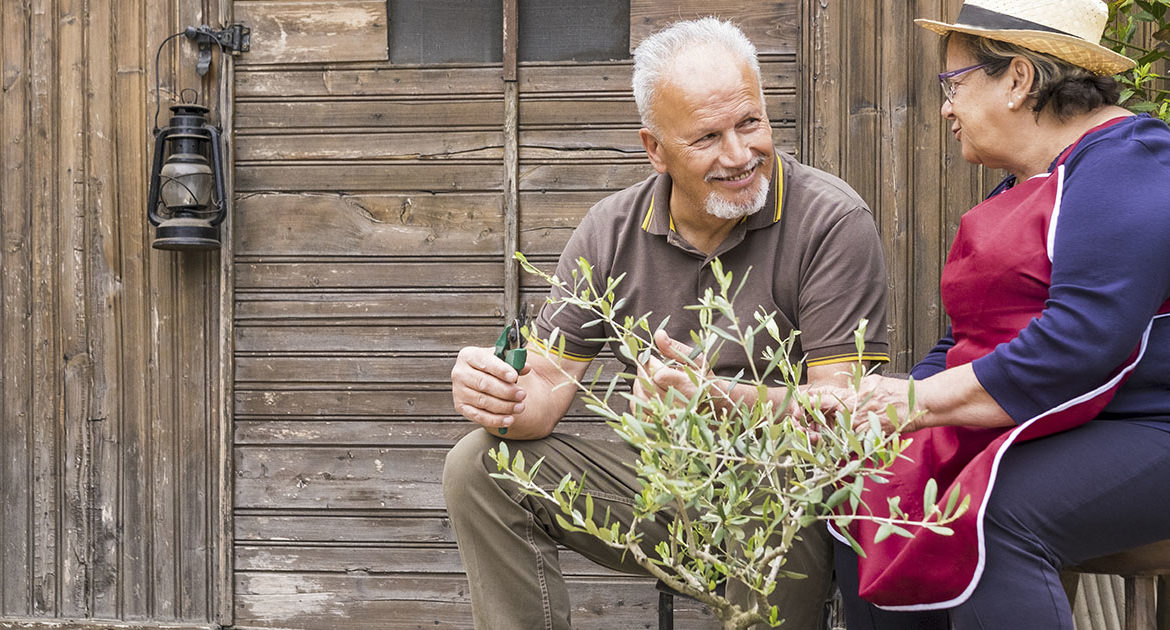 Sąsiad moich dziadków ukradł kawałek ich ziemi, aby zbudować podjazd — jego arogancja kosztowała go kilka tysięcy euro.