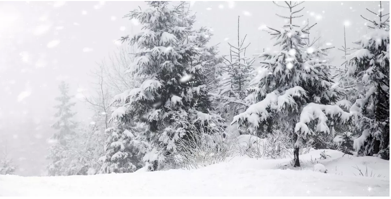 W wieku 8 lat prawie zamarzłam na śmierć, ale uratował mnie bezdomny. Dzisiaj znów przypadkowo go spotkałam.