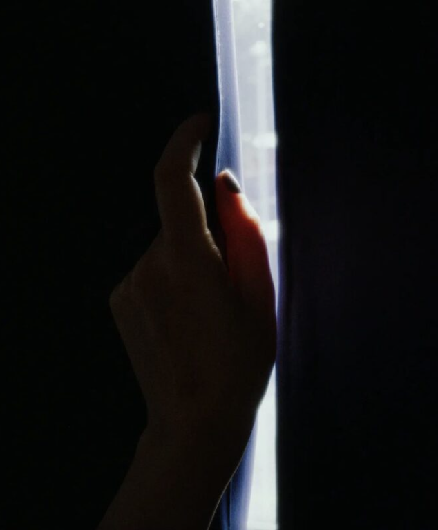 Chłopiec ratuje wnuczkę milionera i zabiera ją do domu – potem odkrywa ukrytą prawdę.