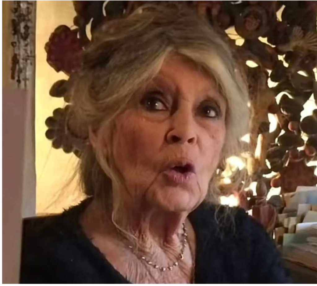 90-letnia Brigitte Bardot pojawiła się przed fanami. Przy zdrowych zmysłach i w pełni władz umysłowych.