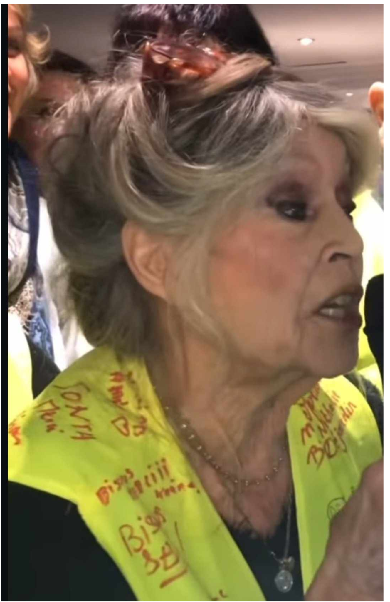 90-letnia Brigitte Bardot pojawiła się przed fanami. Przy zdrowych zmysłach i w pełni władz umysłowych.