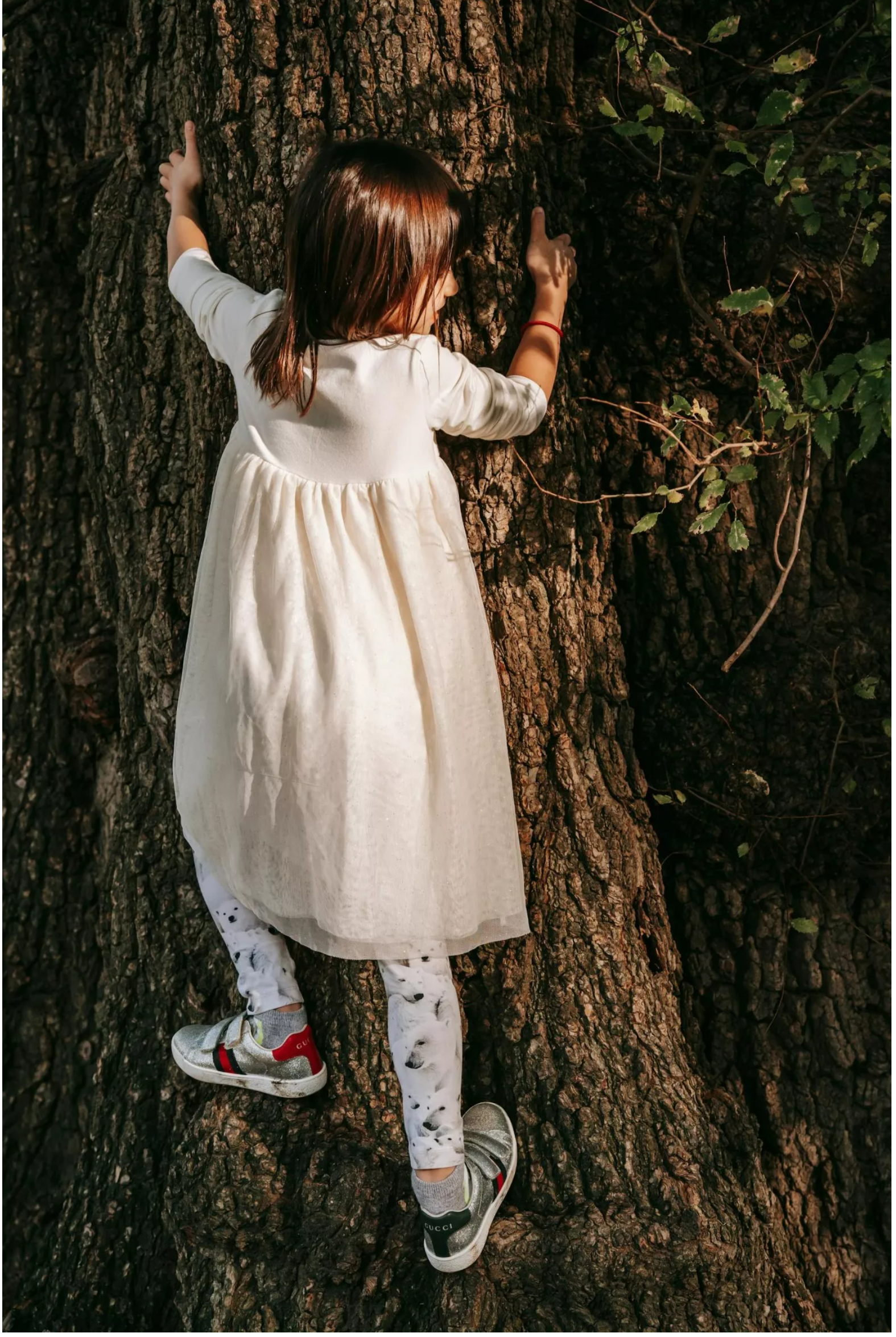 Właściciel mieszkania mojej córki podstawił ją, aby ją eksmitować i podnieść czynsz — daliśmy mu dobrą lekcję.