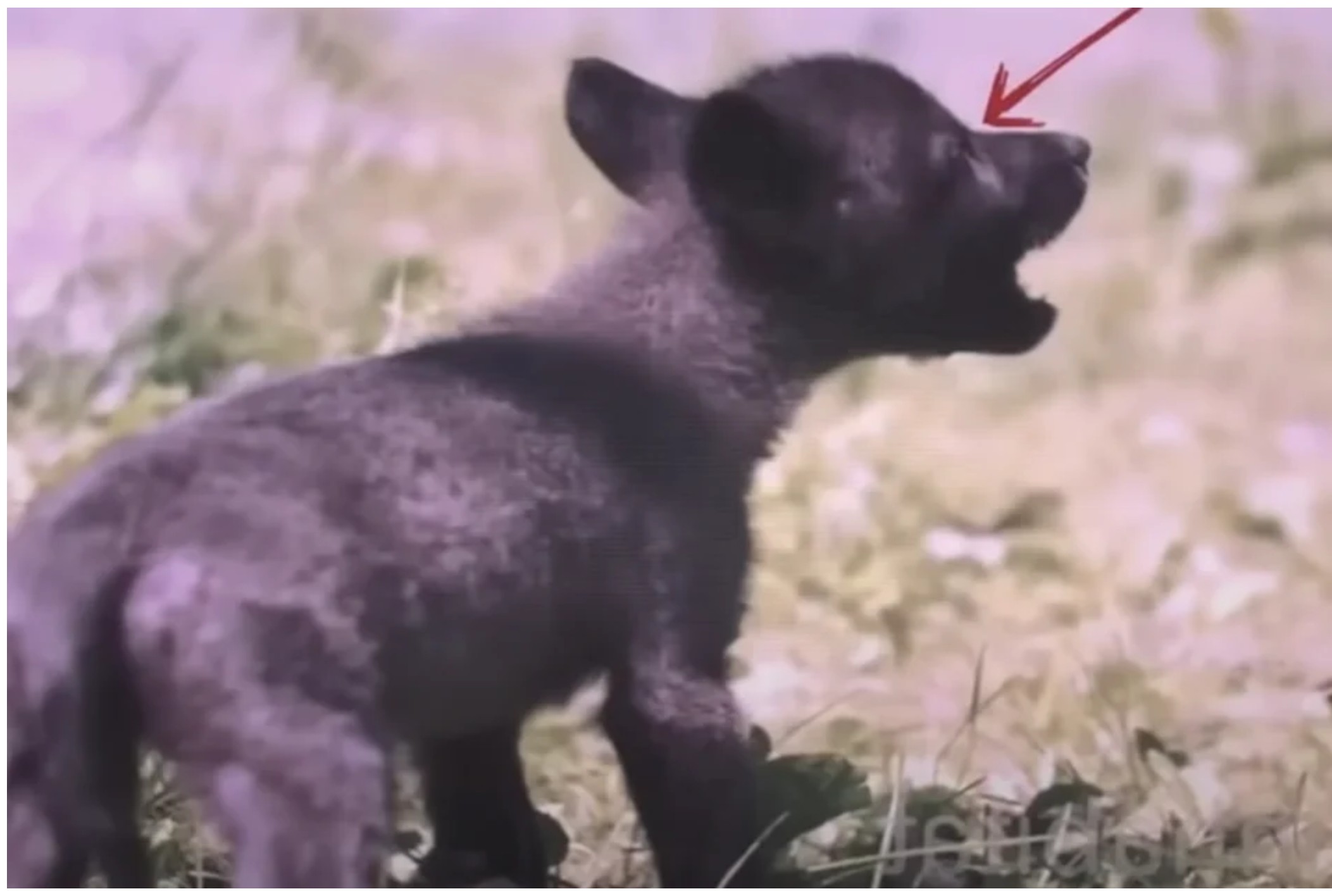 Dobry uczynek może czasem mieć dość dziwne konsekwencje.