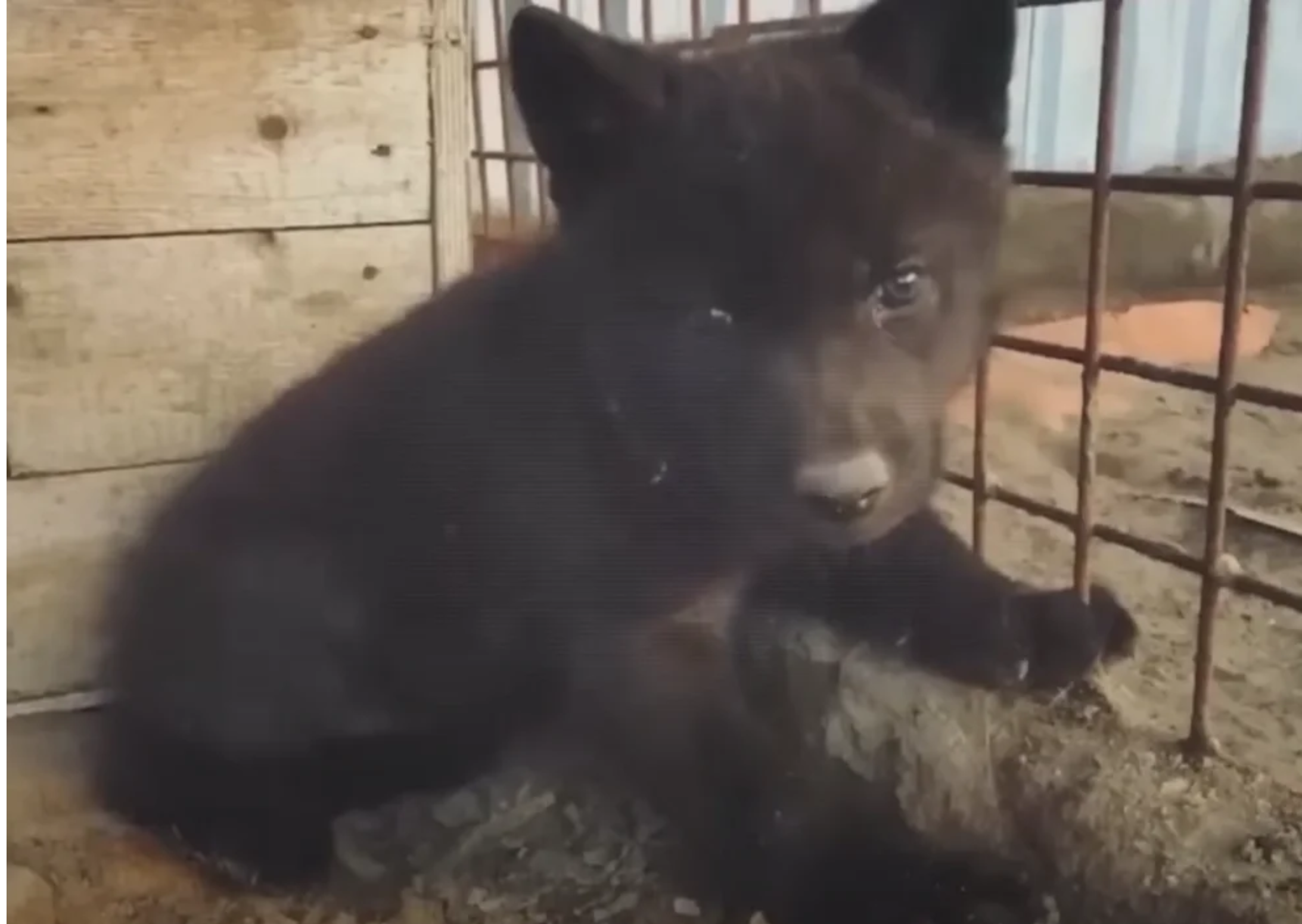 Dobry uczynek może czasem mieć dość dziwne konsekwencje.