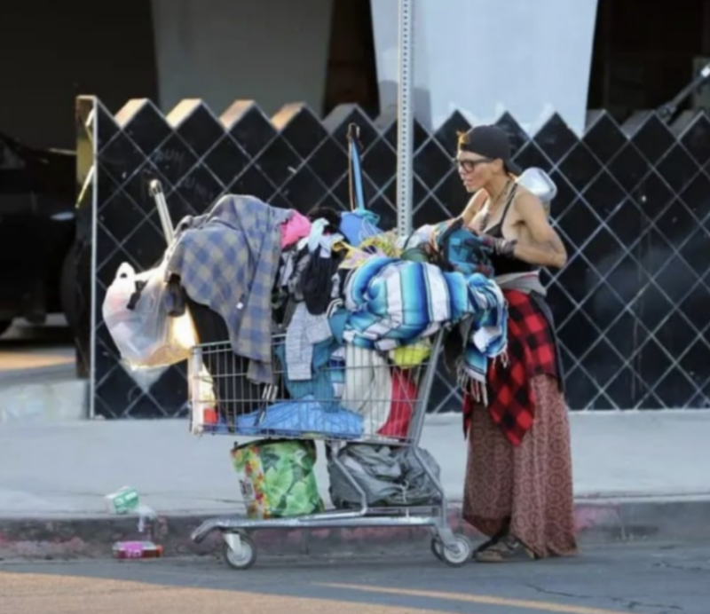 Teraz nie ma nawet domu i musi żywić się jedzeniem, które znajduje w śmietnikach — nie uda jej się już odzyskać dawnej sławy.