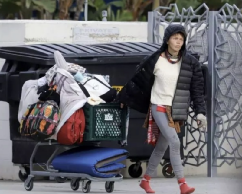 Teraz nie ma nawet domu i musi żywić się jedzeniem, które znajduje w śmietnikach — nie uda jej się już odzyskać dawnej sławy.