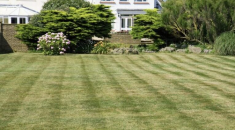 Dowiedziałam się, że moi sąsiedzi potajemnie korzystali z mojego jacuzzi przez cały rok – dałam im lekcję, której nie zapomną.